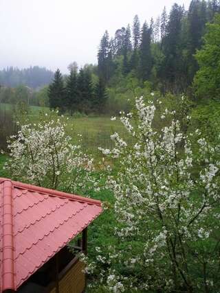 Виллы Sadyba Vyshenka Татаров-4